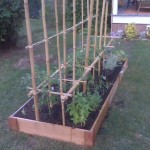 Garden progress