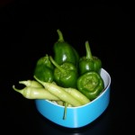 Garden still producing