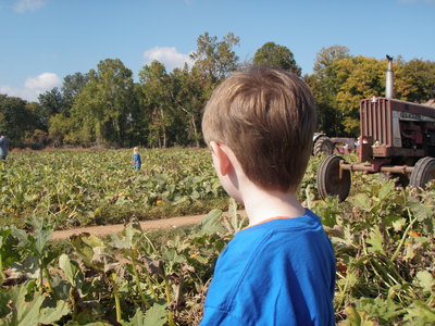 Surveying the crop