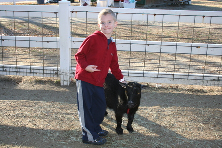 Dylan chills with the goats